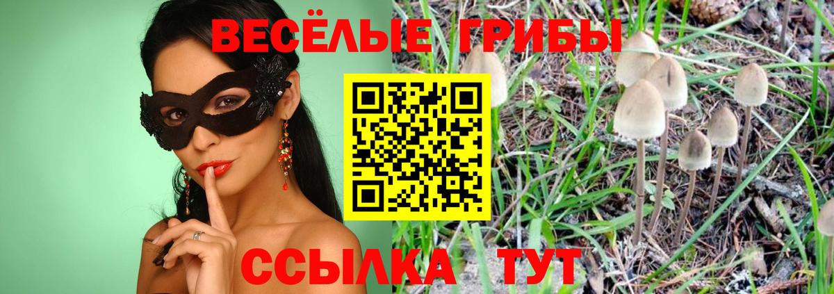 Советск  Галлюциногенные грибы GOLDEN TEACHER  Галлюциногенные грибы мухоморы  Вход с VPN 