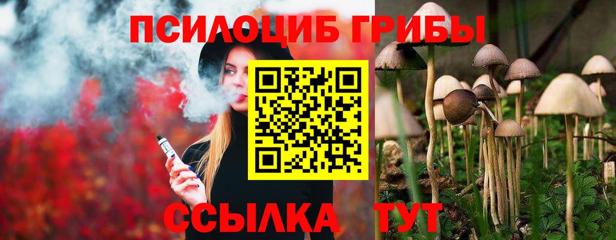 Псилоцибиновые грибы прущие грибы Советск